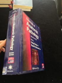 Essentials Of Anatomic Pathology - Second Edition（英文原版书）大16开硬精装 PD