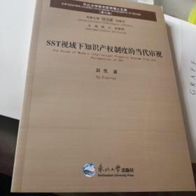 SST视域下知识产权制度的当代审视
