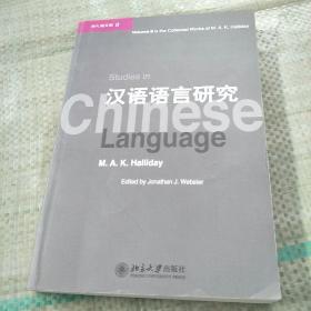 汉语语言研究【没勾画  含盘  前几页有个小口子】