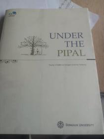 UNDER  THE  PIPAL