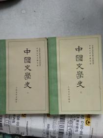 中国文学史 1，2册