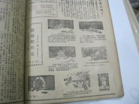 麓水报 合订本 1951年7月份