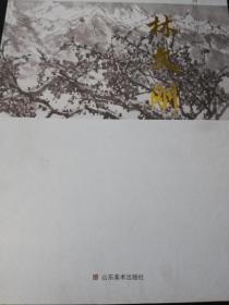当代山东美术名家～林文刚