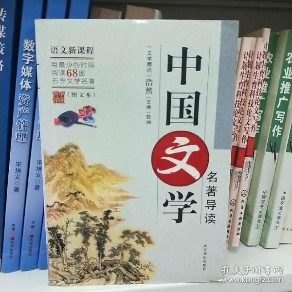 中国文学名著导读