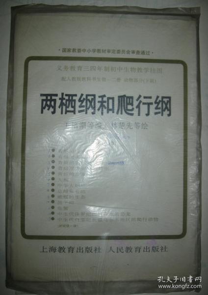 义务教育三四年制初中生物教学挂图：两栖纲和爬行纲（全套13张）