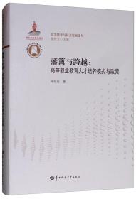 藩篱与跨越：*等职业*人才培养模式与政策