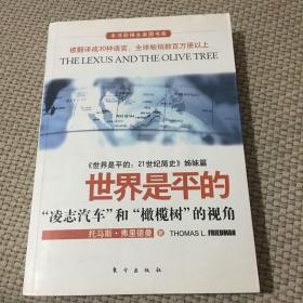 世界是平的：《世界是平的：21世纪简史》姊妹篇