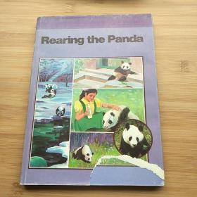 大熊猫丛书5--Rearing the panda 图文版