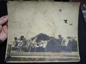 五六十年代苏联体操代表团女子集体表演滕圈舞  老照片(大幅，原版)。    (编号：9)