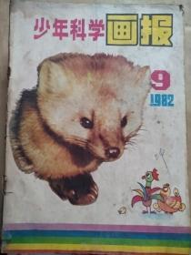 少年科学画报1982/09