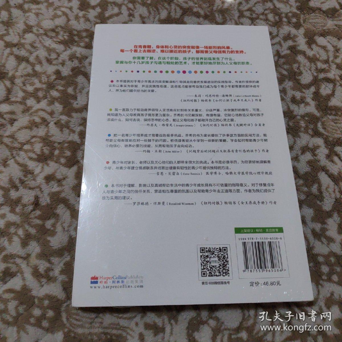 解码青春期：如何陪伴十几岁孩子成长