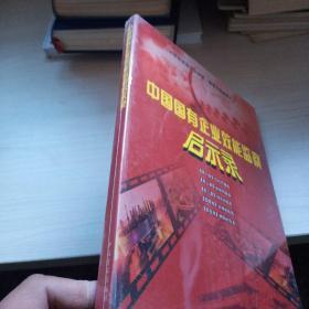 中国国有企业效能监察启示录（DVD盘） 全新  未开封