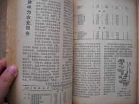 农村政治文化综合读物《东方红》1979年刊