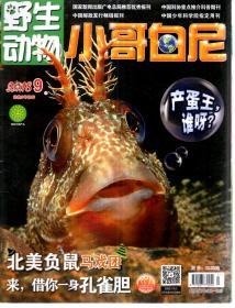 野生动物.小哥白尼2018年第9、10、12期.3册合售