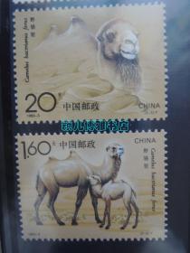 野骆驼(1套2枚)邮票
