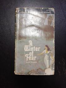 英文原版长篇小说《A Winter of Fear》(恐惧的冬天）(包邮）