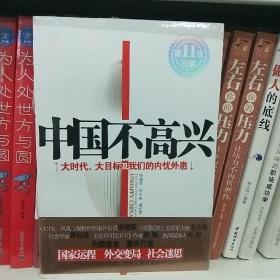 中国不高兴：大时代大目标及我们的内忧外患