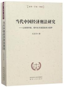 当代中国经济刑法研究：以改革开放、现代化与强国富民为视野