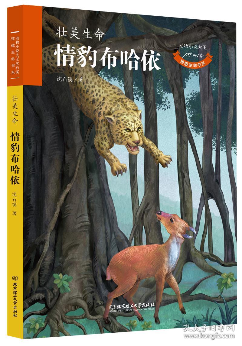动物小说大王沈石溪·致敬生命书系：壮美生命·情豹布哈依
