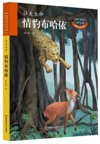 情豹布哈依 专著 壮美生命 The soulful leopard magnificent life 沈石溪著 eng qing bao b