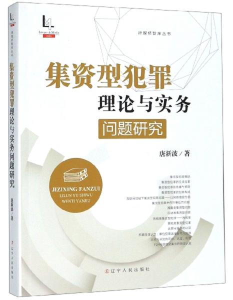 集资型犯罪理论与实务问题研究/律媒桥智库丛书