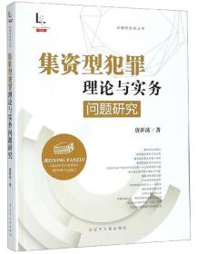 集资型犯罪理论与实务问题研究/律媒桥智库丛书