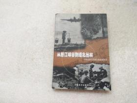 中国远征军滇西大战系列丛书：从怒江峡谷到缅北丛林