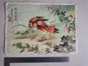 135 鸳鸯画片 50年代