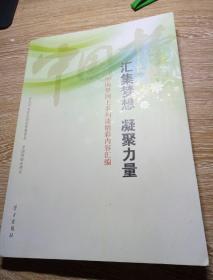 汇集梦想 凝聚力量——中国梦网上系列谈精彩内容汇编