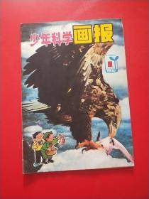 少年科学画报 1981年第9期 实物图