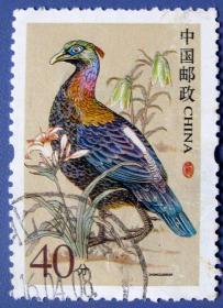 绿尾虹雉鸟40分--中国动物邮票甩卖--实拍--包真，