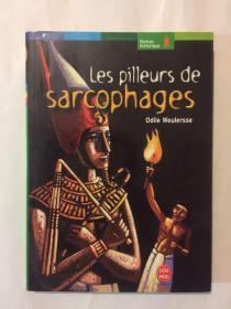 LES PILLEURS DE SARCOPHAGES 石棺掠夺者，法文书法语书（外文原版）