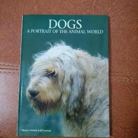犬类DOGS【英文原版】