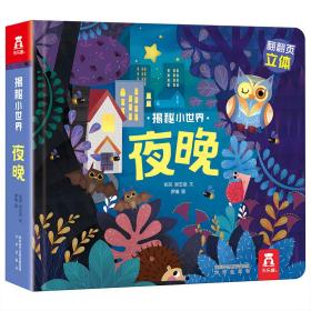揭秘夜晚（0-2岁幼儿科普立体书）揭秘系列好玩又好学乐乐趣童书出品