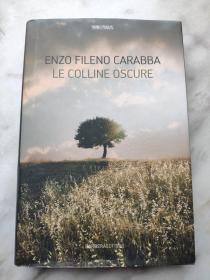 ENZO FILENO CARABBA LE COLLINE OSCURE