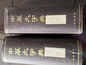 中华大字典（精装，缩印本，上下两册）