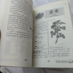 家庭实用中草药手册（全二册）