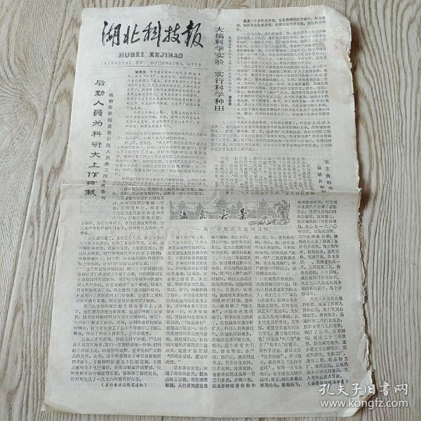 老报纸：1979年2月5日湖北科技报（武汉市一九七儿年数学竟赛题解）