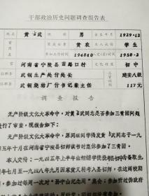 干部政治历史问题调查报告表