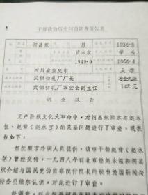 干部政治历史问题调查报告表