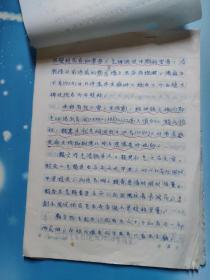 手稿:大理市（民族志）汉语史料调查材料（一）