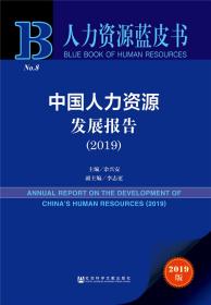 中国人力资源发展报告（2019）
