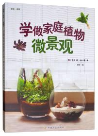 学做家庭植物微景观