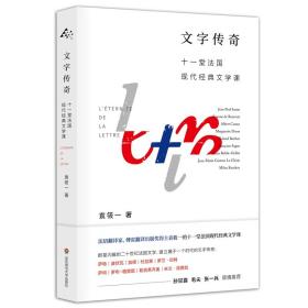 文字传奇：十一堂法国现代经典文学课（法语翻译家、