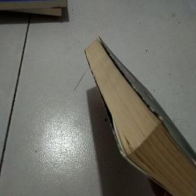 德古拉家族日记：吸血鬼之契