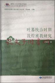 吐蕃统治时期敦煌密教研究/敦煌与丝绸之路石窟艺术丛书