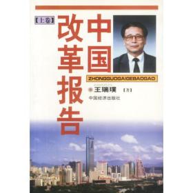 中国改革报告（上卷