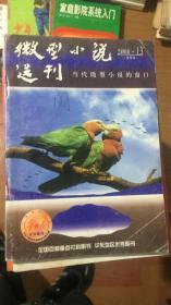 微型小说选刊2008 13