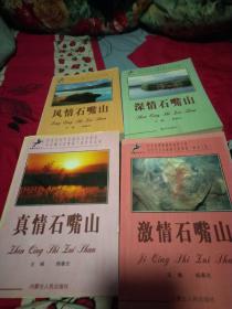 石嘴山丛书【风情石嘴山、深情石嘴山、激情石嘴山、真情石嘴山】共4册