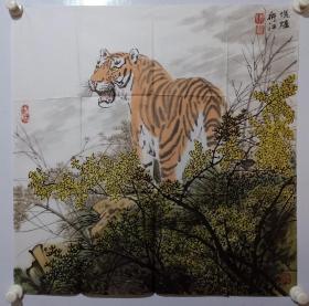 保真书画，当代画虎名家阴衍江国画《写意老虎》一幅，尺寸70×69cm